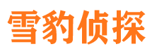 莘县市侦探调查公司